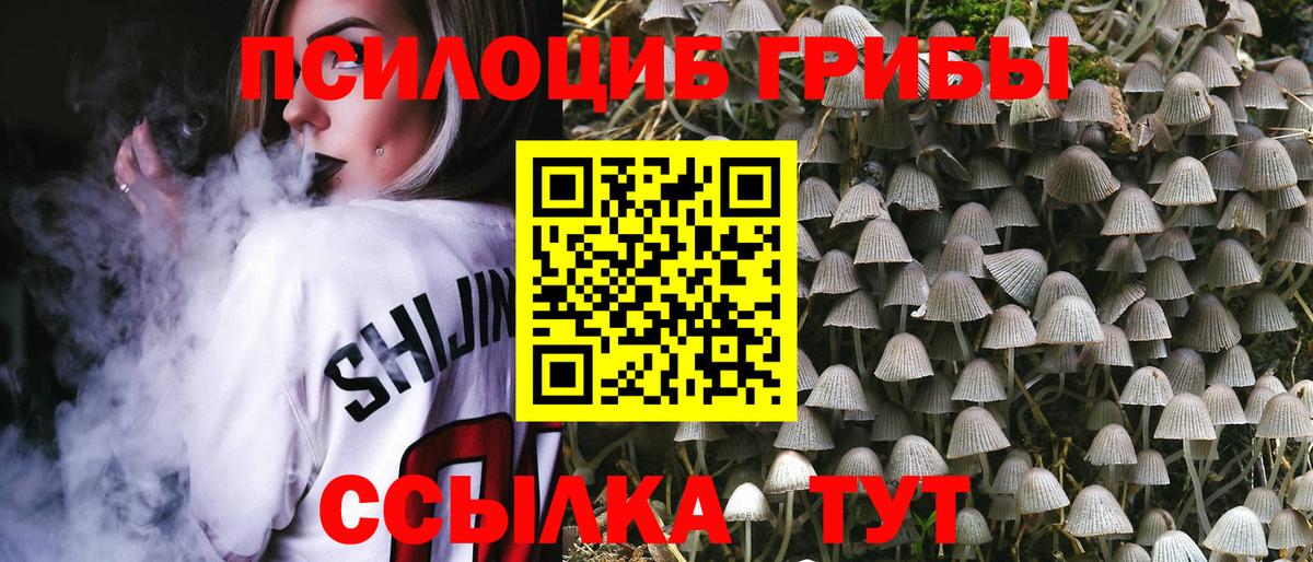 Псилоцибиновые грибы мухоморы  где найти наркотики  Заволжье  Галлюциногенные грибы MAGIC MUSHROOMS  Вход с VPN 
