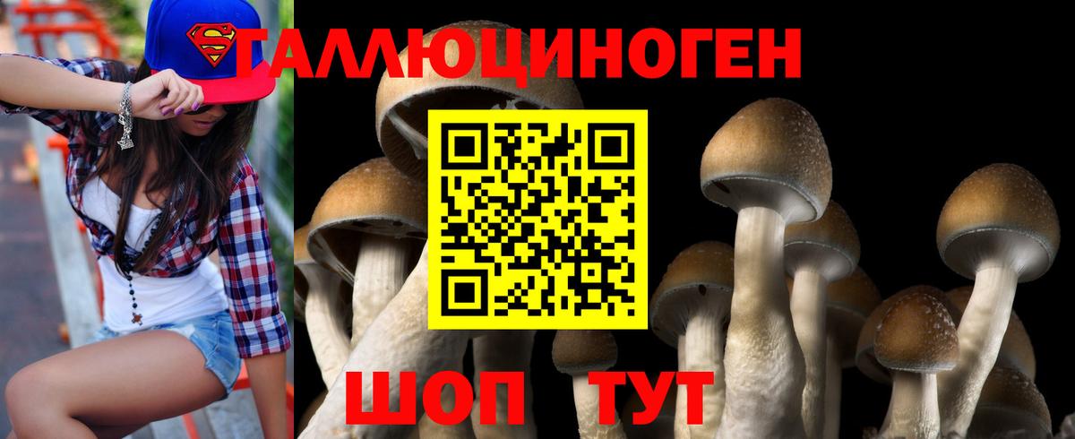 Галлюциногенные грибы мухоморы Заволжье